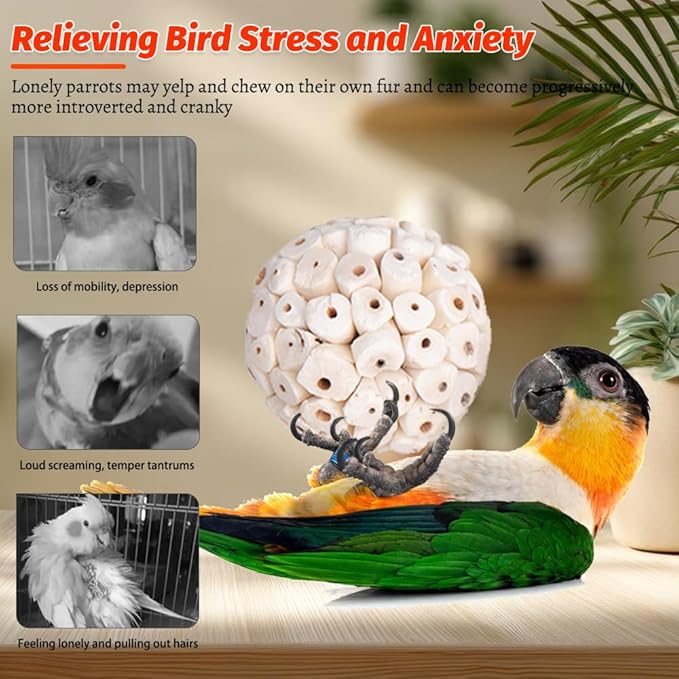 12 Pack Bird Toy Sola Balls, Natural Parrot Soft Chew Shredding & Foraging Toy, Bird Foot Balls for Cockatiel Conure Quaker Budgie Parakeet Bunny Guinea Pig Chinchilla Rabbit