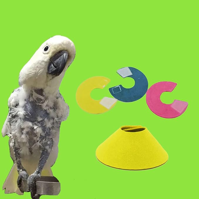 Parrot Collar for Plucking Anti-Bite Collar Bird Wound-Healing Recovery Collar for Lovebirds Budgies Cockatiel