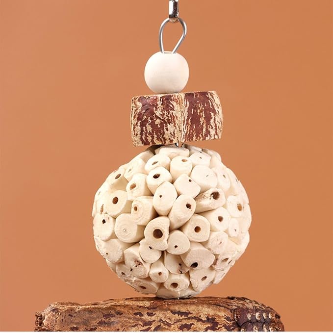Bird Chew Toy for Pet Bird Parrot Sola Ball Natural Nuts Pinecone Chewing Toy for Small Parakeet Cockatiel Conures Finch Budgie (S)