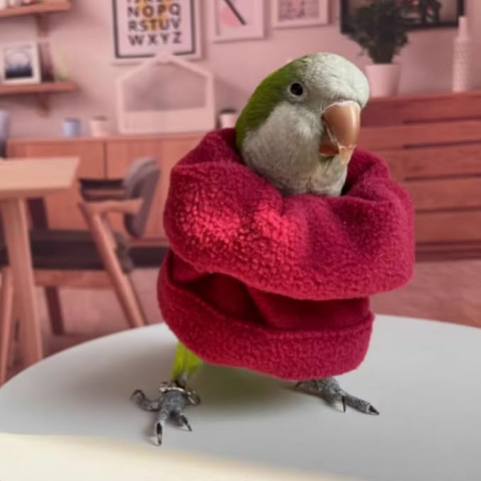 Bird Neck Collar Pet Parrot Anti-bite Picking Feather Healing Protective Neck Cover Collar for Lovebird Macaw Conure Cockatoo African Grey Random Color (L)