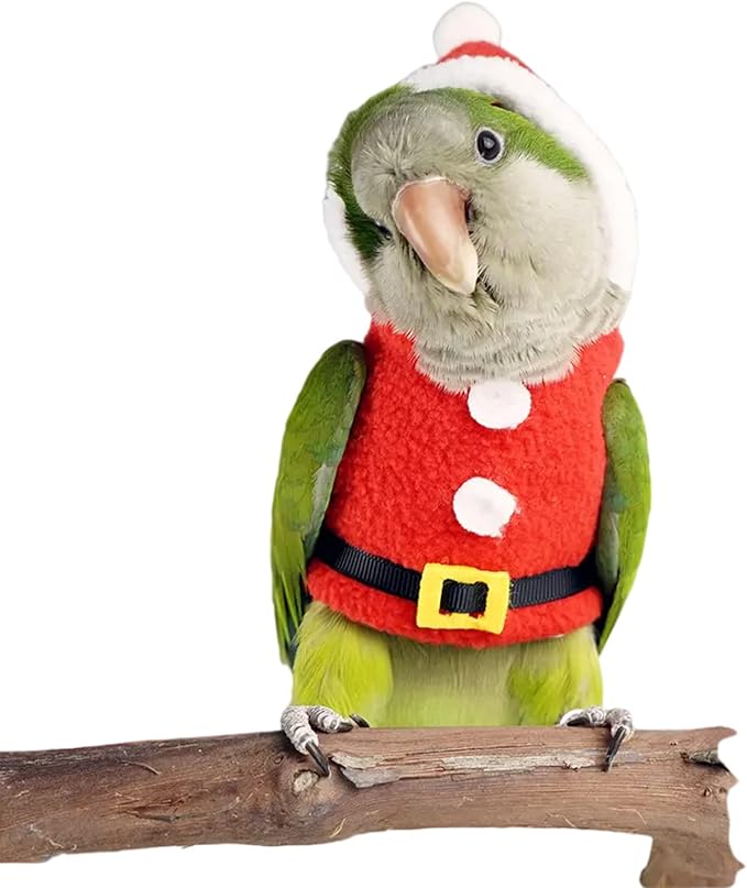 Bird Clothes Birds Flight Suit, Christmas Hoodie for Parrots Cockatiel Sun Conure Christmas Party Cosplay Photo Prop Bird Shirt Small Animals Apparel (Without Diaper,Macaw)