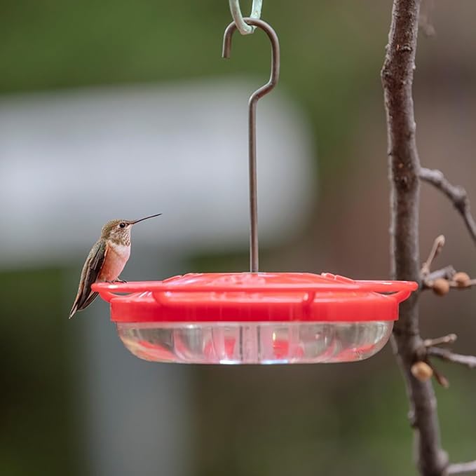 2 Pack Hummingbird Feeders for Outdoors, 5 Feeder Ports and Brush, Prevent Ants and Leaks Easy to Clean & Fill Perfect for Hanging On The Tree Yard