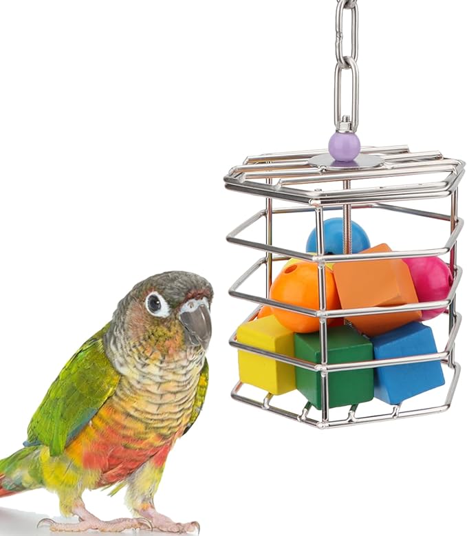 Hypeety Bird Foraging Toys Stainless Steel Foraging Basket Millet Holder for Bird Cage Unique Hanging Feeder for Macaws Cockatoos African Grey Cockatiel Conures Amazon Parrot(Feeder+Blocks)