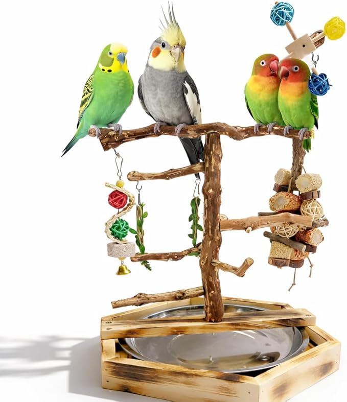 Wooden Bird Play Stand for Parakeets & Cockatiels, Natural Wood Perch Gym with Hanging Toys, Removable Metal Tray, Multi-Level Bird Playground for Small to Medium Birds
