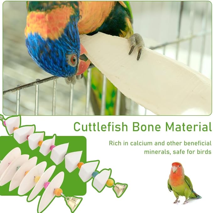 DQITJ 2 Pack Cuttlebone Chew Toy Natural Calcium Cuddle Bone Bird Beak Grinding Toy for Small Bird Budgie Cockatiel Lovebird Parakeet
