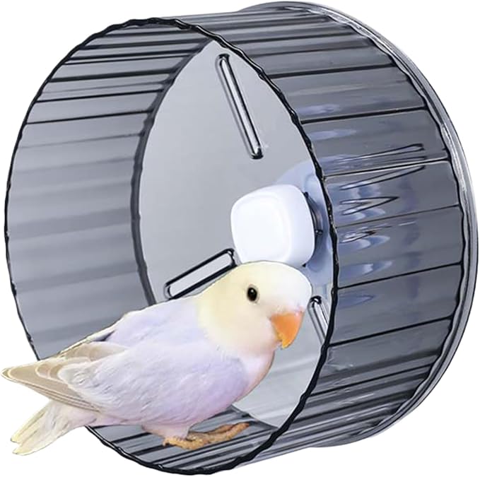 Bird Wheel Toy, Silent Parrot Exercise Wheel Interactive Rotating Toy for Small Medium Birds - Parakeets Cockatiels Conures Lovebirds Finches - Bird Cage Enrichment Accessory (L (8.3''D),Grey)