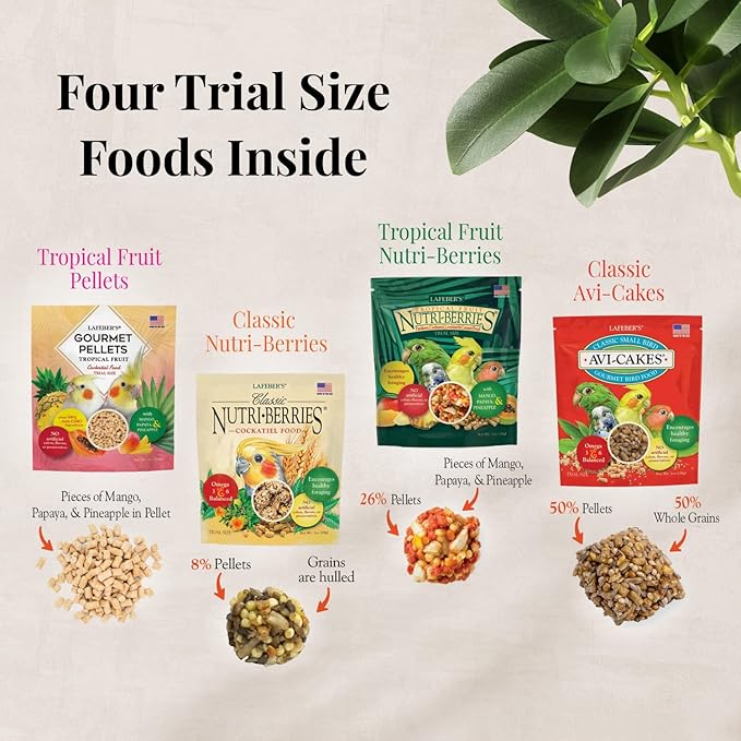 LAFEBER'S Foraging Fun Pack Pet Bird Food, Made with Non-GMO and Human-Grade Ingredients 5 oz (Cockatiel)