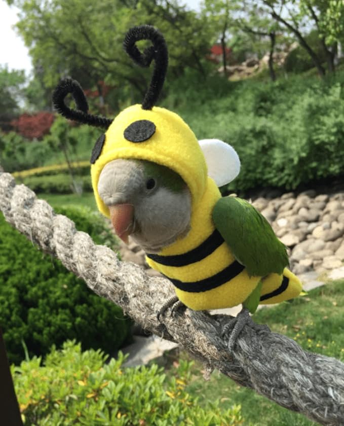 Bird Costume Diaper Flight Suit Bee Shape Hoodie Clothes Cosplay Photo Prop for Parrots Parakeet Cockatiel Sun Conure, Small Animals Apparel (Bee with Diaper, Large), Green