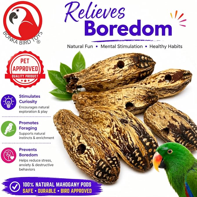 Bonka Bird Toys 3410 Drilled Mahogany Pods Shreddable Foraging Bird Toy with Natural Materials Hanging Cage Toy 9" for Small to Medium Parrots Conure Cockatiel Budgie Chewing Enrichment (Pack of 6)