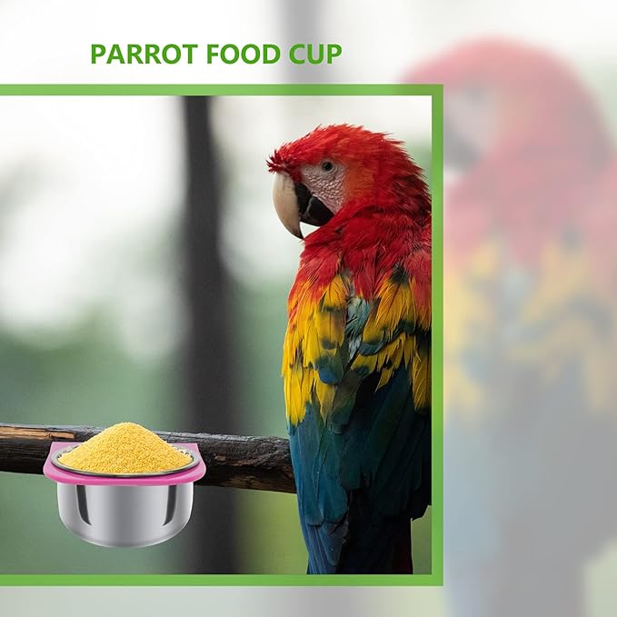 Practical Parrot Food Box Feeding Cups Eco-Friendly No Harmful Easy to Maintain Use
