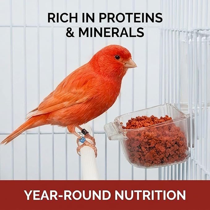 Raff Delicate Rosso 500g – Red Canary Food Enriched with Honey and Carrots – Specialized Red Factor Formula for Seed-Eating Birds Seeking Vibrant Plumage and Optimal Health
