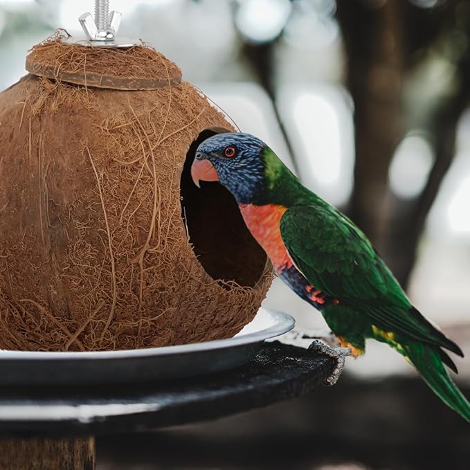 Balacoo Coconut Shell Parrot Nest Toy - Interactive Biting Plaything for Parakeets, Cockatiels, and Small Birds - Hanging Birdhouse(6.69 Inch)