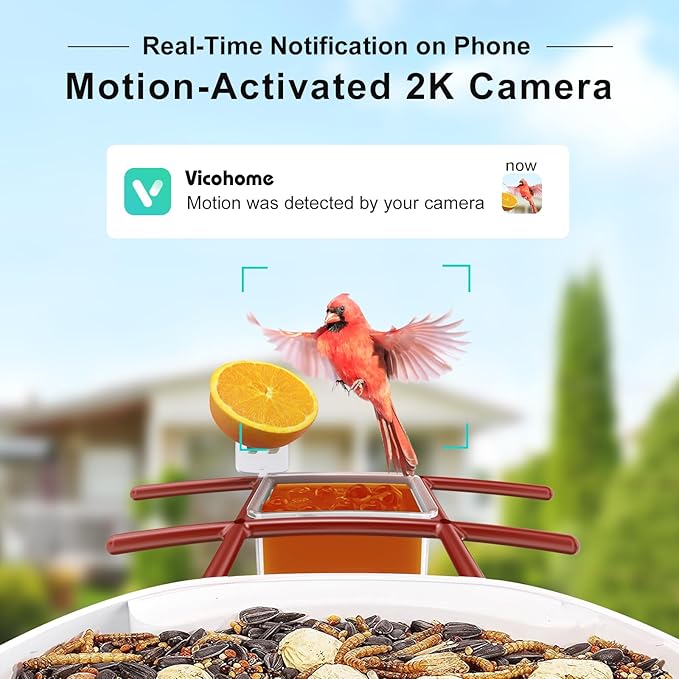 birdsnap® TUC Bird Feeder with Camera 2K HD Live with 32GB Card Auto Detect & Notify AI Identify Camera Birds Feeders Solar Powered Wireless Outdoors Backyard Gift for Mom Dad Birds Lover, 2.4G WiFi