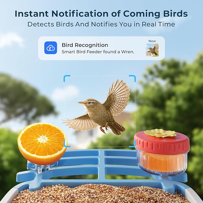 Bird Feeder with Camera, 2.5K HD Smart Bird Feeder Cam Outdoor with AI Recognition, Instant Arrival Alerts, Auto Capture Birds Videos, IP66 Waterproof Solar Powered, Ideal Gift