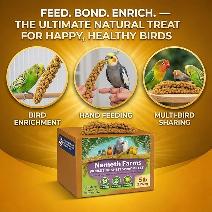 Nemeth Farms Spray Millet - Edible Tops Only, Non-GMO and Sun-Dried - 1 lb for Parakeets, Canaries and Finches