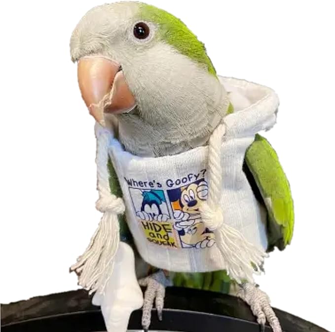 Bird Hoodie, Flight Suit for Parrots, Large, White with Hat, Polyester-Cotton, All Life Stages, Bird Apparel