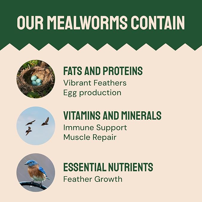 Hatortempt Dried Mealworms for Wild Birds - 1.8 Lb Bag - Bluebird Food - High-Protein Meal Worms for Blue Birds, Robins and Chickadees
