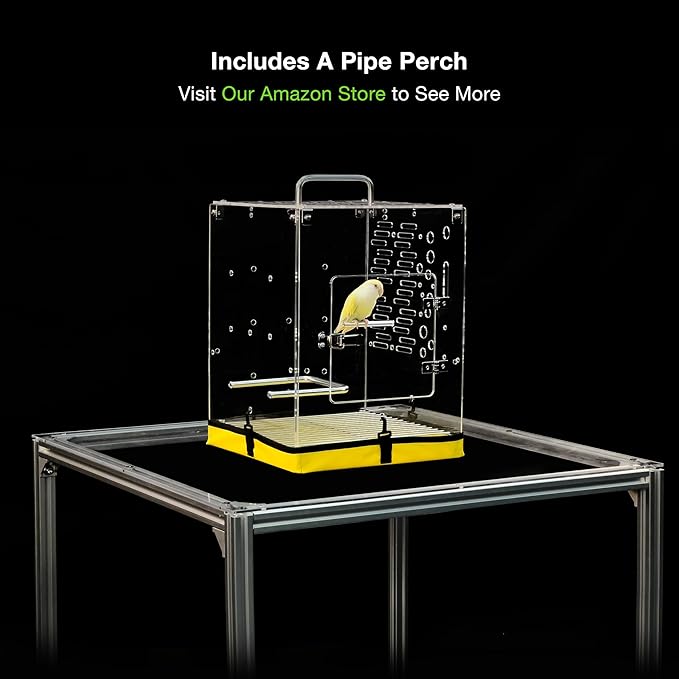 GuineaLoft™ Acrylic Bird Cage Model-ETO, Crystal Clear, 360° Panoramic View, Portable & Easy Clean Design with Canvas Bottom- Visit the GuineaLoft Store