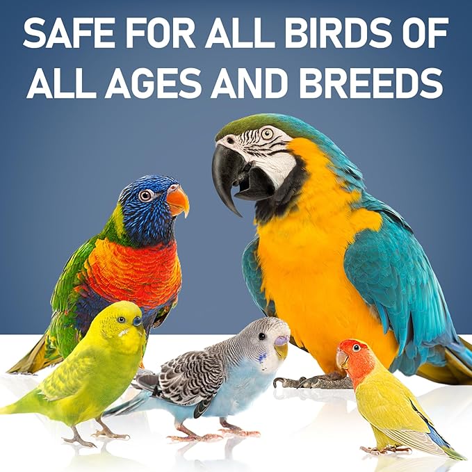 Probiotics for Birds Avian Probiotics Dietary Supplement for Parrots - Bird Probiotic Powder Supplement All-Natural Digestive System Formula (1.59 OZ)