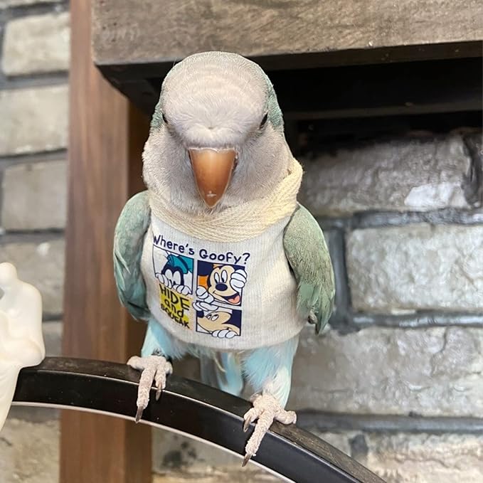Sun Conure Bird Diaper Flight Suit Frog Shape Hoodie Cosplay Photo Prop for Parrots, Parakeet, Cockatiel - Bird Hoodie Small Animals Apparel (White Without Hat, Small)