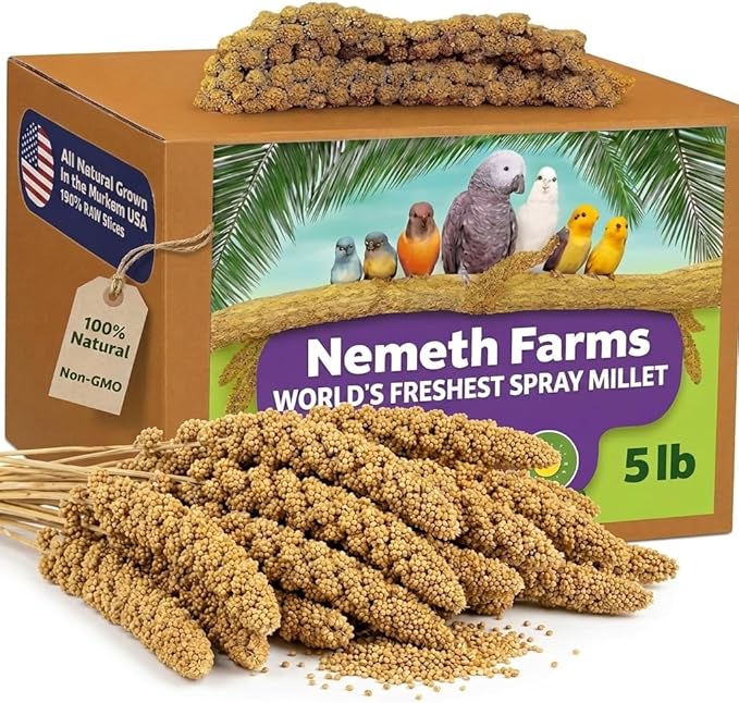 Nemeth Farms Spray Millet - Edible Tops Only, Non-GMO and Sun-Dried - 5 lbs for Parakeets, Conures and Cockatiels
