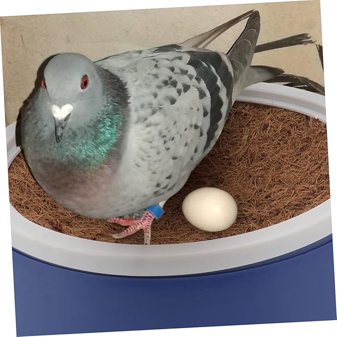 balacoo 4 Sets Pigeon nest Egg nest Straw Birds Pigeon Supplies Bird cage Accessories White Plastic Eggs Pigeon breeding Parakeet Bird cage Pigeon Nest Supply Bowl mat homing Pigeon Coir