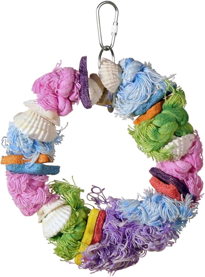 Prevue Pet Products Cal‑Sea‑Yums Dollar Bird Toy - Natural Sea Shell Bird Toy for Parakeets, Cockatiels, Conures, & More, with Quick‑Link Attachment, Hanging Cage Accessories for Small & Medium Birds