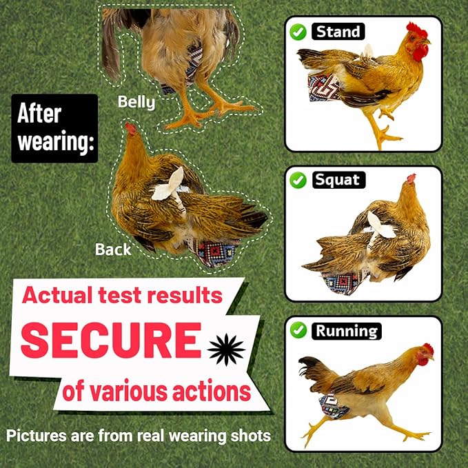Reusable 3D Chicken Diapers for Indoor Chickens – Leak-Proof 3D Pouch with Replaceable Bag, Adjustable Straps & Cross-Back Design, Fit for Hens and Roosters(Plastic Bags not Included)-Widened