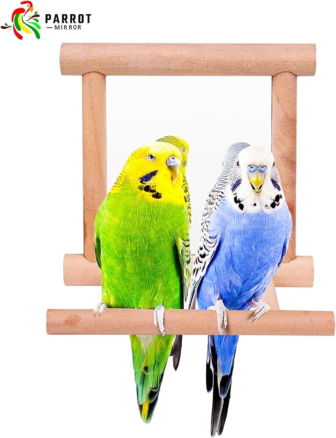 Blessed Family 2 Piece Bird Parakeet Mirror for Cage,Parrot Perch Stand,Wooden Hummingbird Swing Toy,Parakeet Accessories for Cockatiels Conure Finch Lovebird Canary African Grey Macaw