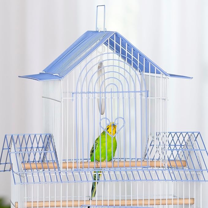 Prevue Hendryx SP1720-2 Shanghai Parakeet Cage, Blue and White