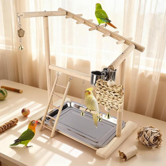 Small Bird Playground Stand, Natural Wood Parrot Stand Playground with Removable Tray, Feeder Cups, Ladder, Swing & Chew Toys for Cockatiel, Conure, Parakeet