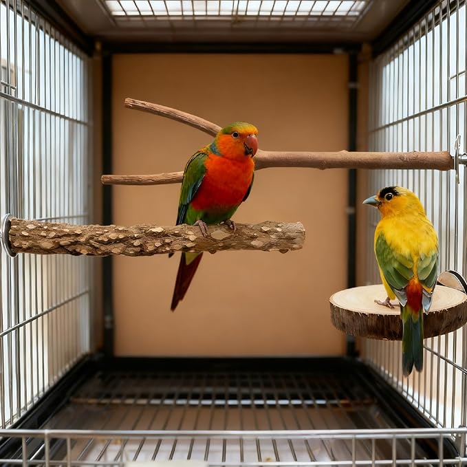 Bird Cage Stand Perches - 4pcs Natural Birds Hanging Wood Platform Multi-Branch Perches for Macaws Conures Budgies Parakeets Parrot Cage Accessories