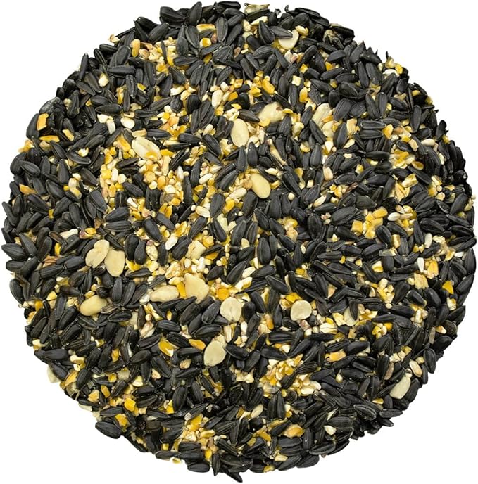 Bird Pro Classic Bird Seed (5 Pounds, Year Round Favorite)