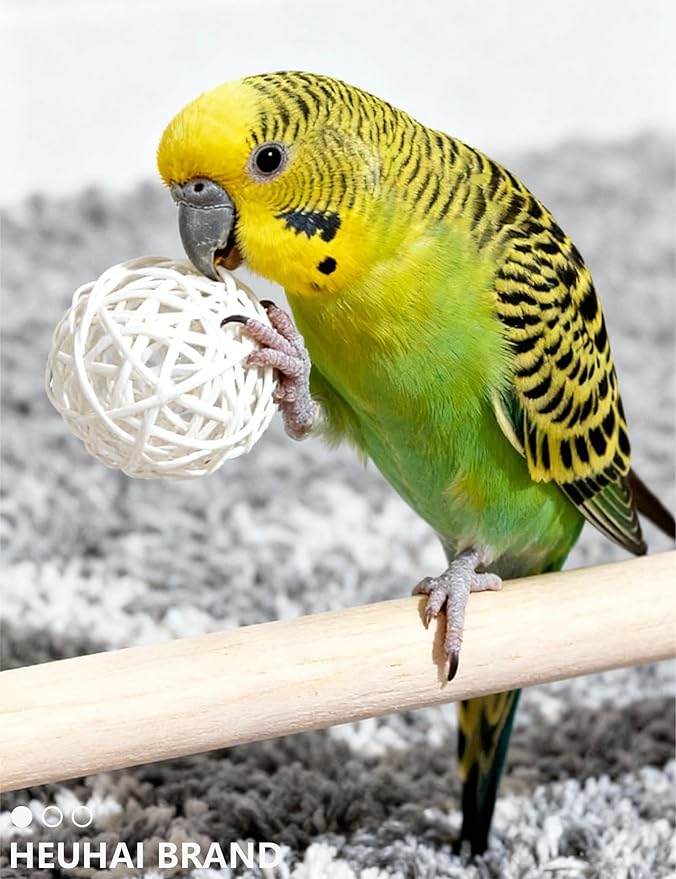 Bird Toys for Parrots & Parakeets - 12 Pack Colorful Bell Balls - Safe Chew, Foot & Activity Toys for Small & Large Birds (1.6'' - 2.8'')
