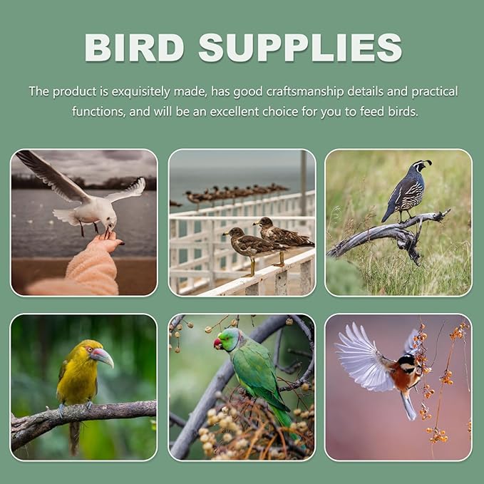 Zerodeko 6Pcs Bird Food Trough, Plastic Bird Cup Cage Feeding Cups, Feeder Thick Semicircle Food Box, Transparent