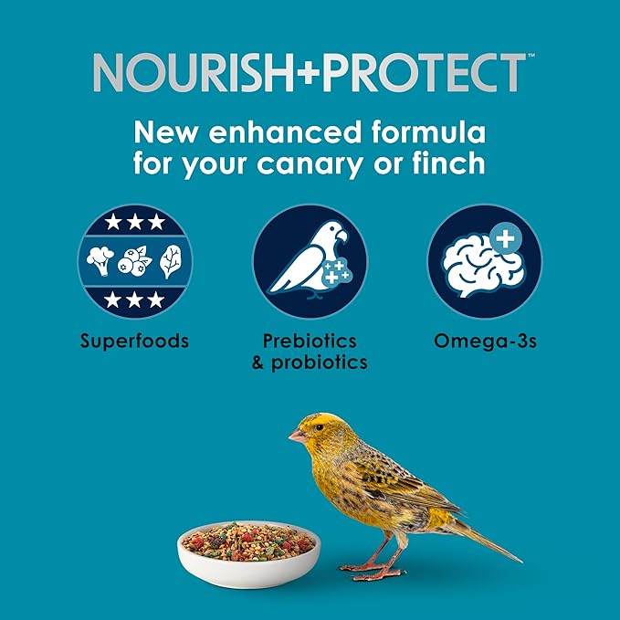 Kaytee Forti-Diet Pro Health Pet Canary & Finch Food, 2 lb