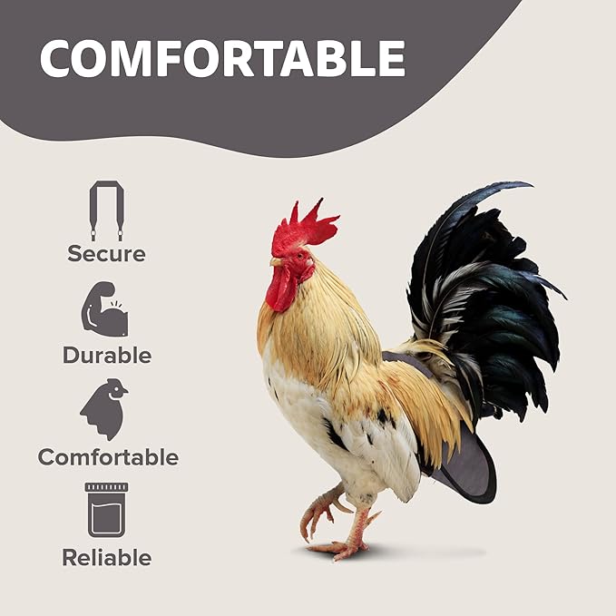 Hen Holster Premium Starter Kit - Bird Diaper, Wrap Around for Hens, Roosters, Ducks - Leak-Proof, Comfortable Bird Harness with Sewn-in Liner, Secure Hook & Loop Closure - XL, Gray
