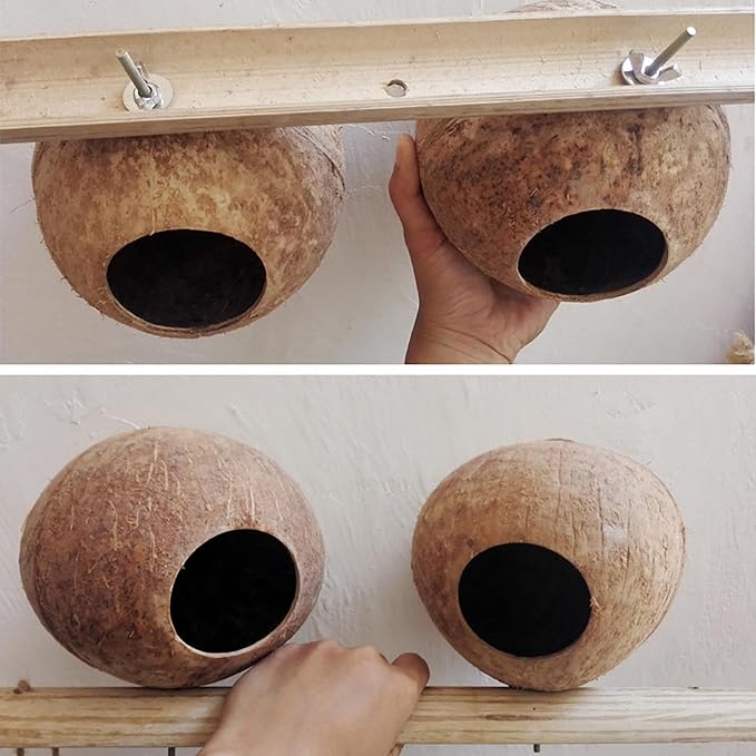 OMEM Bird Coconut House,Hamster House,Coconut Shells can Fixed in Bamboo, Birdcages, Hamster Cages (L)