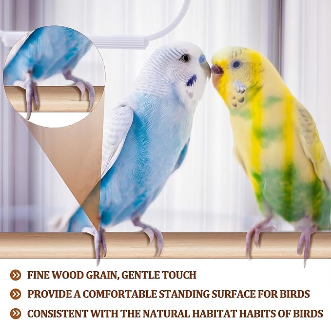 Sintuff 8 Pcs Bird Perches for Cage Accessories, Wooden Perch Rods Replacement with Double Head Slots, 0.6 Inch Diameter Natural Wood Stand for Parrot Macaw Cockatoo Parakeet (15 Inches)
