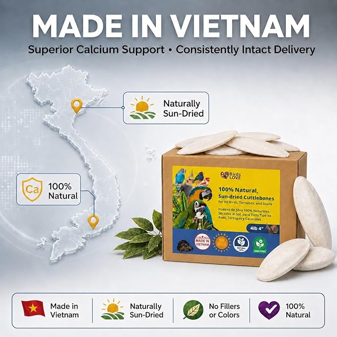 Birds LOVE 3.5-4″ Cuttlebones for Birds – 100% Natural Sun-Dried Calcium Carbonate Mineral Supplement – for Parakeets, Budgies, Cockatiels, Finches & Canaries – 4 lb with Holder – Made in Vietnam