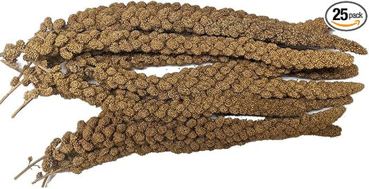 Generic Canadian Millet Spray 5 Lb for Small Birds