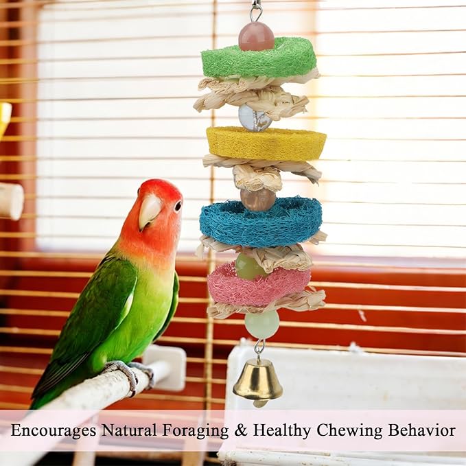 Hypeety Pet Bird Parrot Swing Chewing Toy Natural Sepa Takraw with Happy Twist Colorful Bead Swing Bell