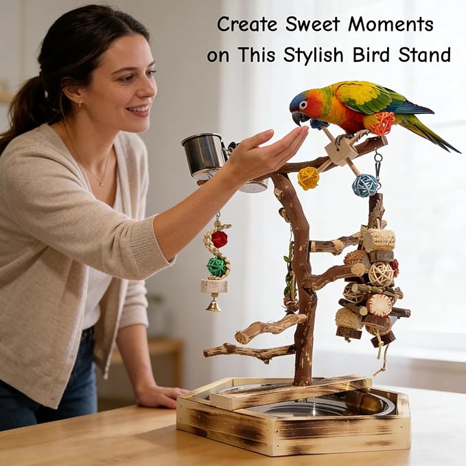 Wooden Bird Play Stand for Parakeets & Cockatiels, Natural Wood Perch Gym with Hanging Toys, Removable Metal Tray, Multi-Level Bird Playground for Small to Medium Birds