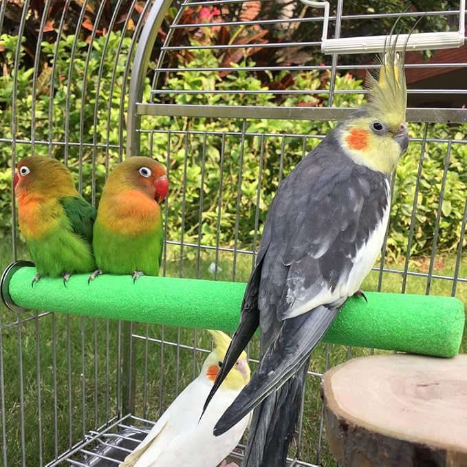 Bird Perch Rough-surfaced Nature Wood Stand Toy Branch for Parrots (Straight Perch, M)