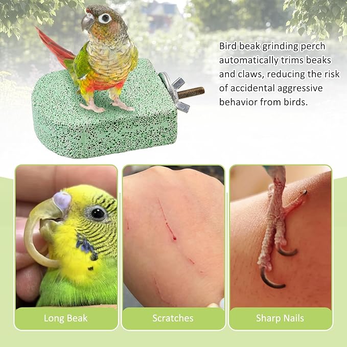 BNOSDM 4 Pcs Bird Beak Grinding Stone Chew Toy Parrot Calcium Perch Bird Stand Platform Parakeet Cage Accessories for Budgies, Cockatiels, Conures, Lovebirds, Finch (Green)