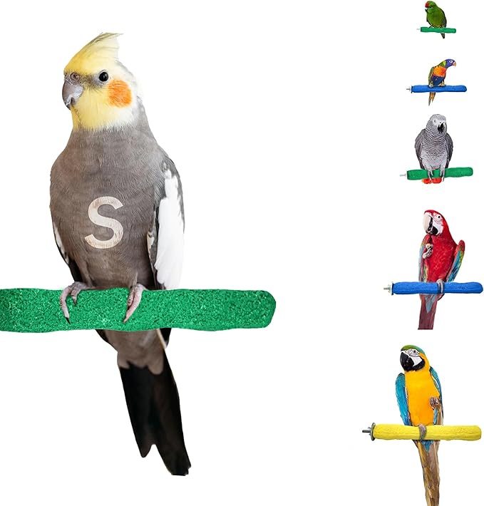 Sweet Feet and Beak Comfort Grip Safety Perch for Bird Cages - Pedicure Perch for Birds to Keep Nails and Beaks in Top Condition - Safe Easy to Install Bird Cage Accessories Small 6.5" - Green