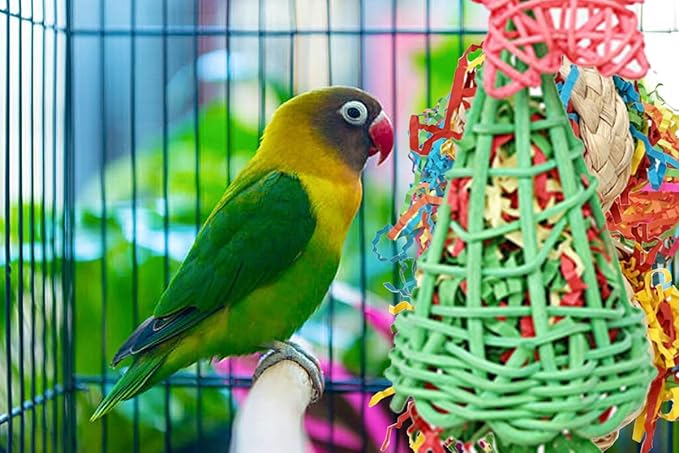 Foraging Toys with Extra Shredded Paper, Parakeet Chewing Hanging Toy, Bird Cage Accessories for Conure Cockatiel Budgies Lovebird Parrotlet