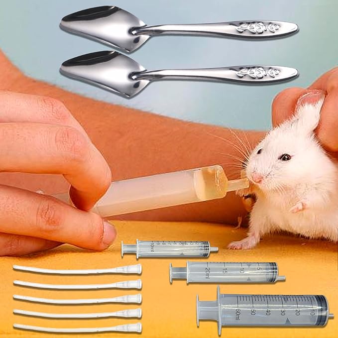 Baby Bird Feeding Syringe Set, Pet Parrot Milk Feeding Syringe with Tubes, Parrot Feeding Tubes Measuring Tools for Feeding Pets Scientific Industrial Labs… (10ml+20ml+ 60ml +2 spoons)