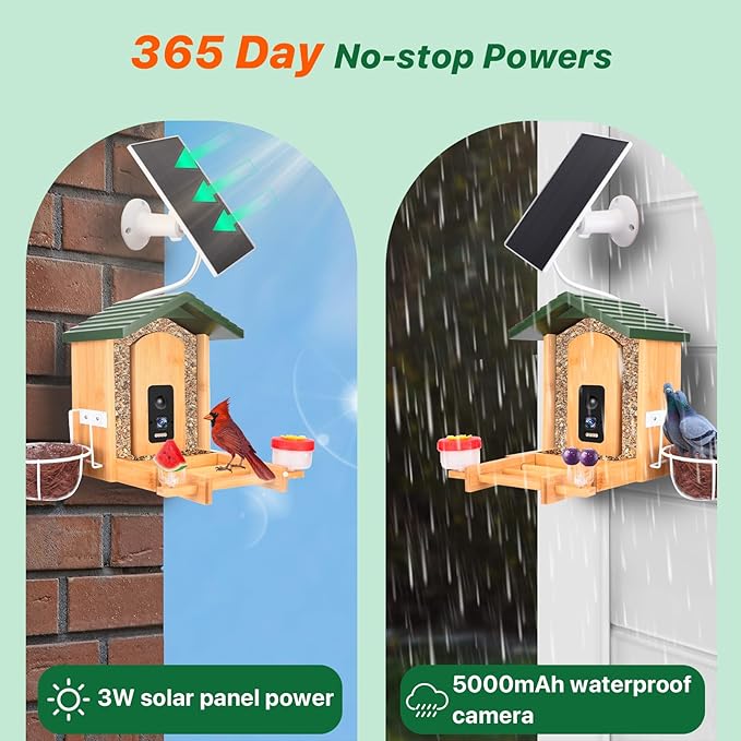 Smart Bird Feeder with Camera Solar Powered, 4K UHD Video Live Stream 8MP Photos, AI Bird Species Identification, Instant Arrival Alerts, Weatherproof Bamboo Design, Best Gift for Bird Lovers