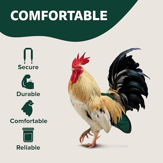 Hen Holster Premium Starter Kit - Bird Diaper, Wrap Around for Hens, Roosters, Ducks - Leak-Proof, Comfortable Bird Harness with Sewn-in Liner, Secure Hook & Loop Closure - S/M, Green